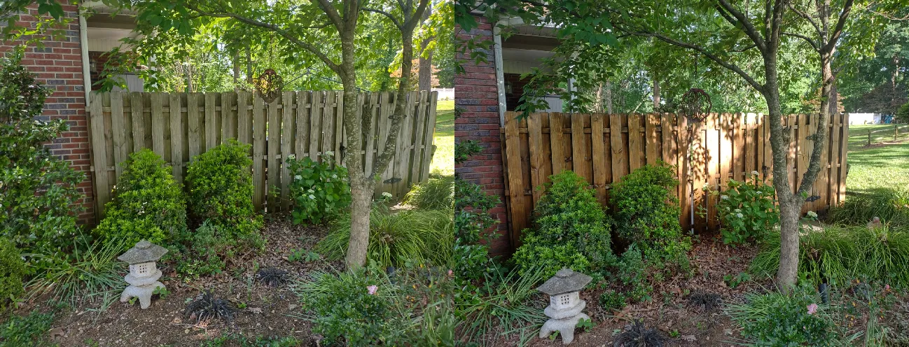 Privacy Fence before and after cleaning.