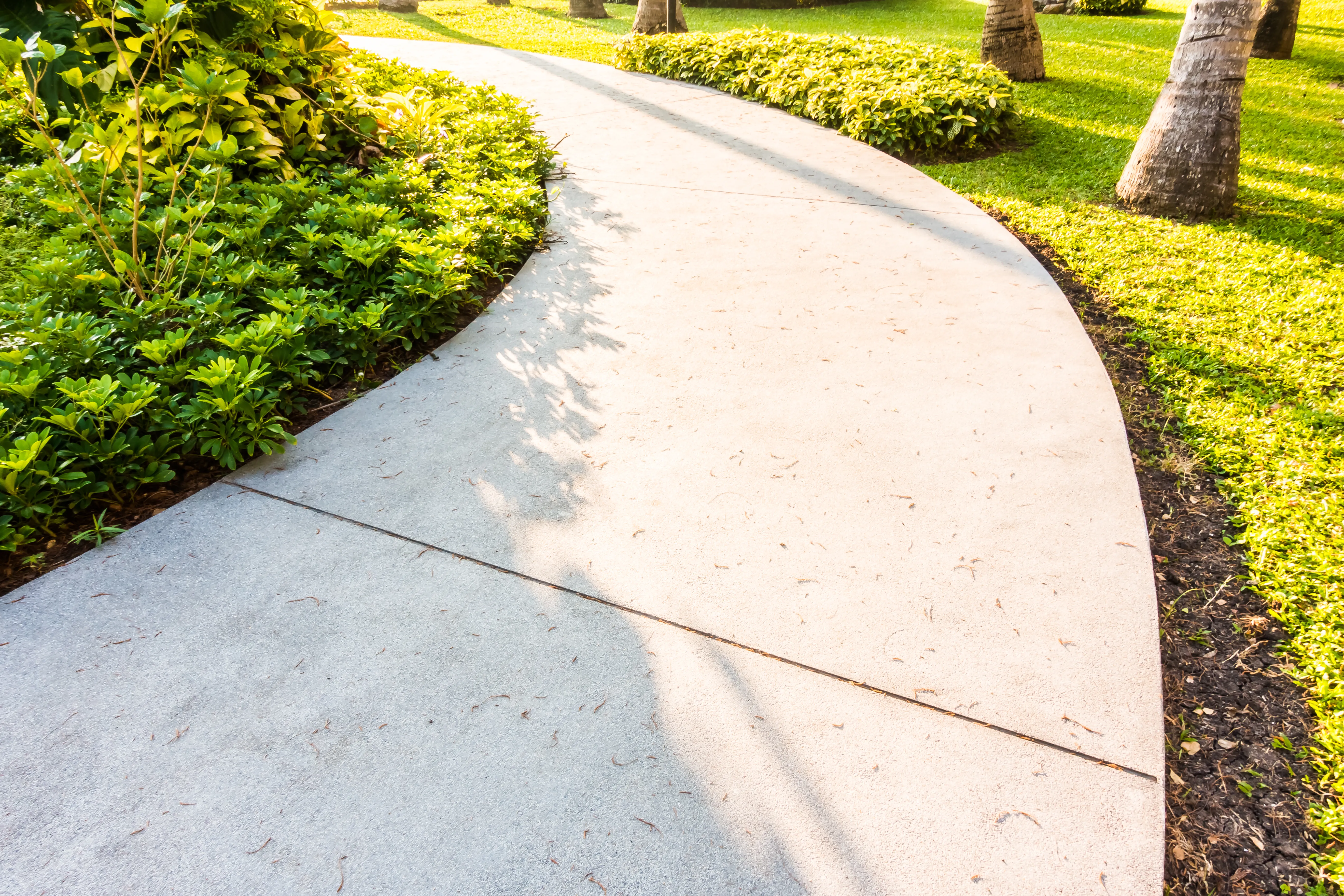 Freshly cleaned sidewalk walkway.